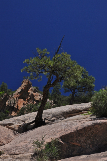 East Animas Climbing Area